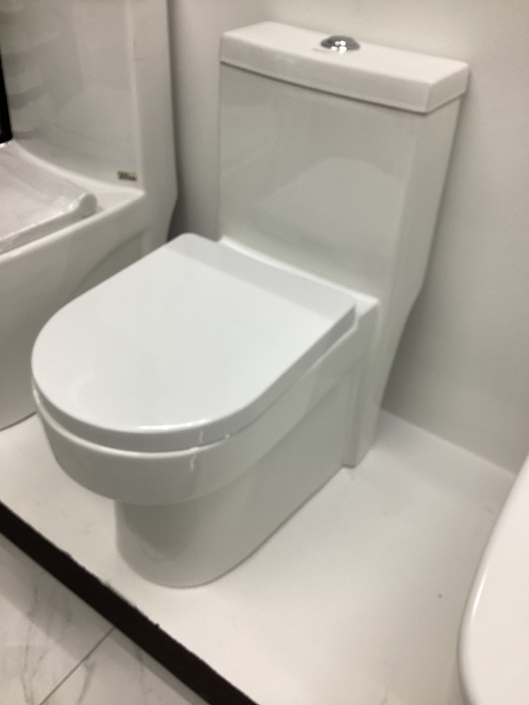 TOILET RICHFORD(WHITE)ONE PIECE-CEN